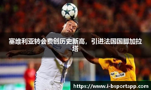 B体育